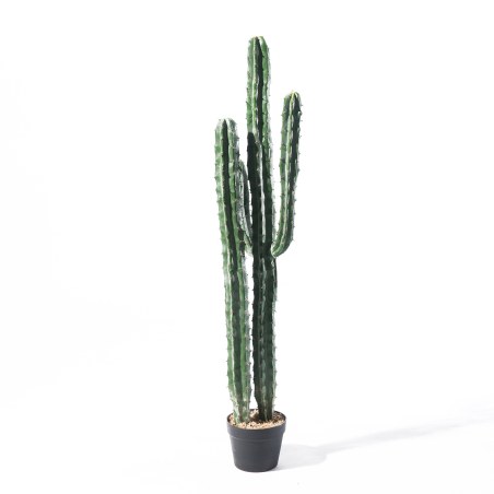 Supergreens Τεχνητό Φυτό Εφόρμπια 125 εκ.