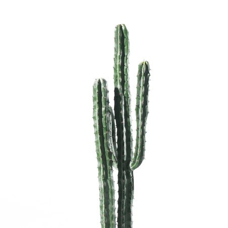 Supergreens Τεχνητό Φυτό Εφόρμπια 125 εκ.