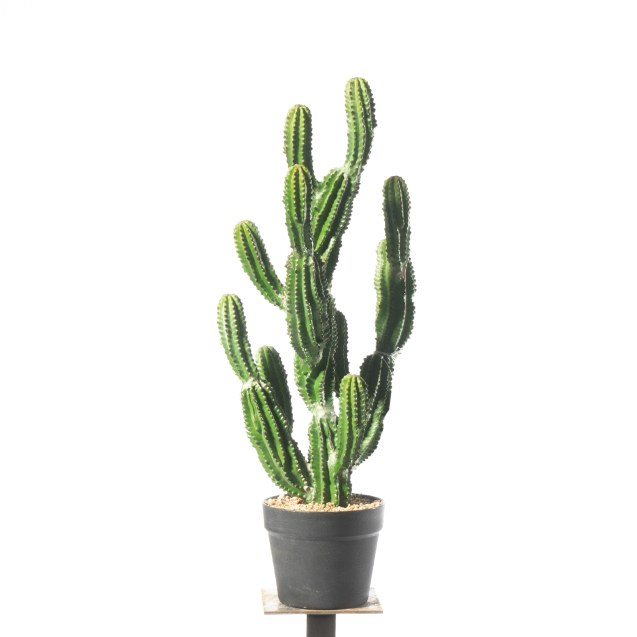 Supergreens Τεχνητό Φυτό Εφόρμπια 67 εκ.