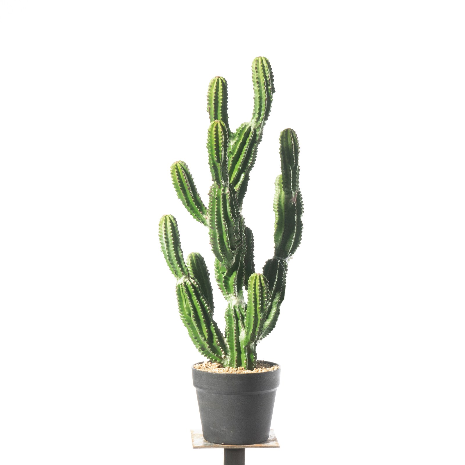 Supergreens Τεχνητό Φυτό Εφόρμπια 67 εκ.