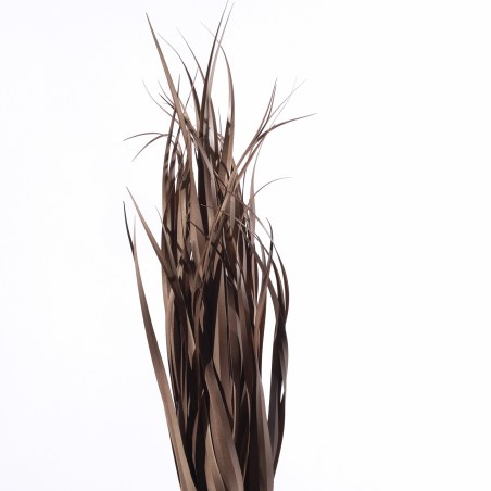 Supergreens Τεχνητό Φυτό Χορτάρι "Acorus" 61 εκ...