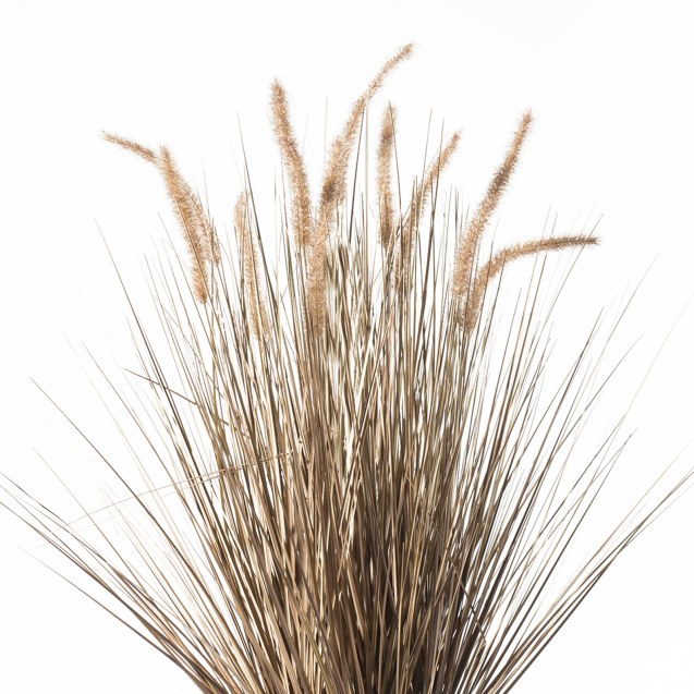 Supergreens Τεχνητό Φυτό Χορτάρι "Pennisetum"...
