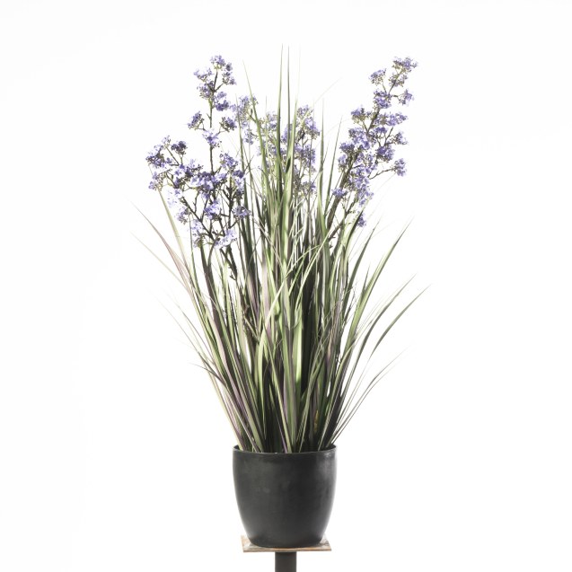 Supergreens Τεχνητό Φυτό Χορτάρι "Oncidium...