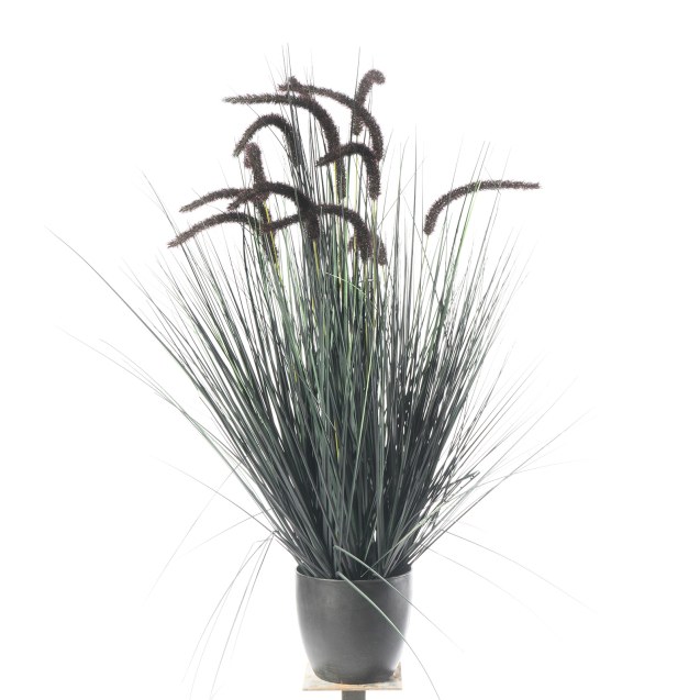 Supergreens Τεχνητό Φυτό Χορτάρι "Pennisetum"...