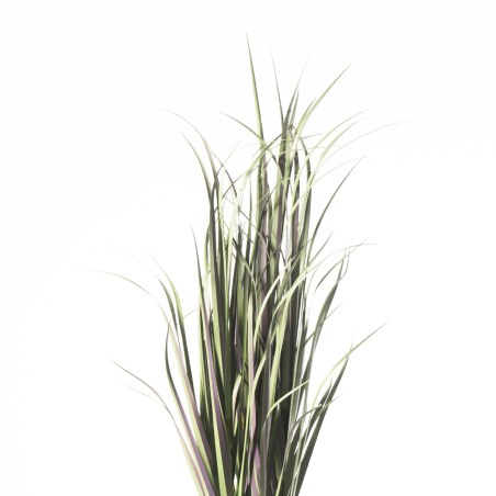 Supergreens Τεχνητό Φυτό Χορτάρι "Acorus" 91 εκ.