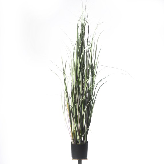 Supergreens Τεχνητό Φυτό Χορτάρι "Acorus" 152 εκ.