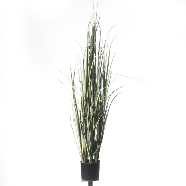 Supergreens Τεχνητό Φυτό Χορτάρι "Acorus" 152 εκ.