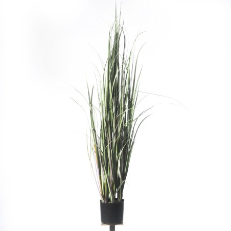 Supergreens Τεχνητό Φυτό Χορτάρι "Acorus" 152 εκ.