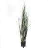 Supergreens Τεχνητό Φυτό Χορτάρι "Acorus" 152 εκ.