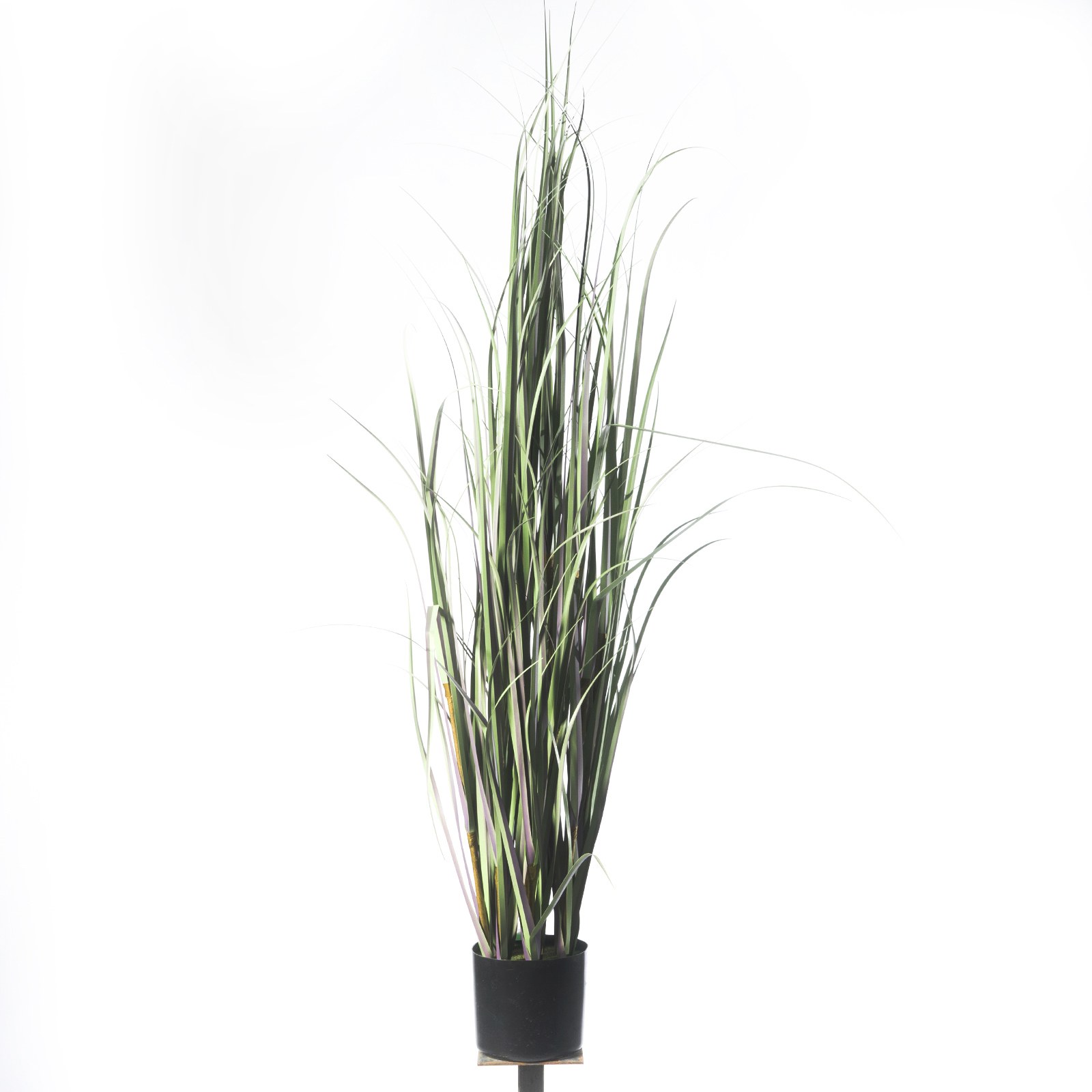Supergreens Τεχνητό Φυτό Χορτάρι "Acorus" 152 εκ.