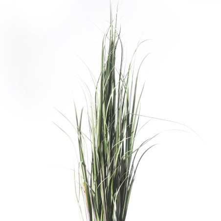 Supergreens Τεχνητό Φυτό Χορτάρι "Acorus" 152 εκ.