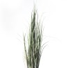 Supergreens Τεχνητό Φυτό Χορτάρι "Acorus" 152 εκ.