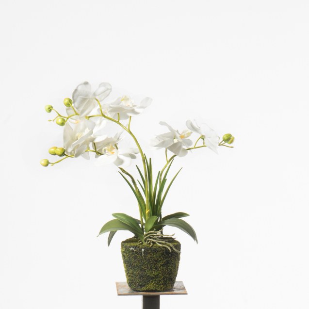 Supergreens Τεχνητό Φυτό Ορχιδέα Phalaenopsis...