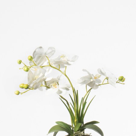 Supergreens Τεχνητό Φυτό Ορχιδέα Phalaenopsis Λευκό 42 εκ.