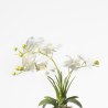 Supergreens Τεχνητό Φυτό Ορχιδέα Phalaenopsis Λευκό 42 εκ.