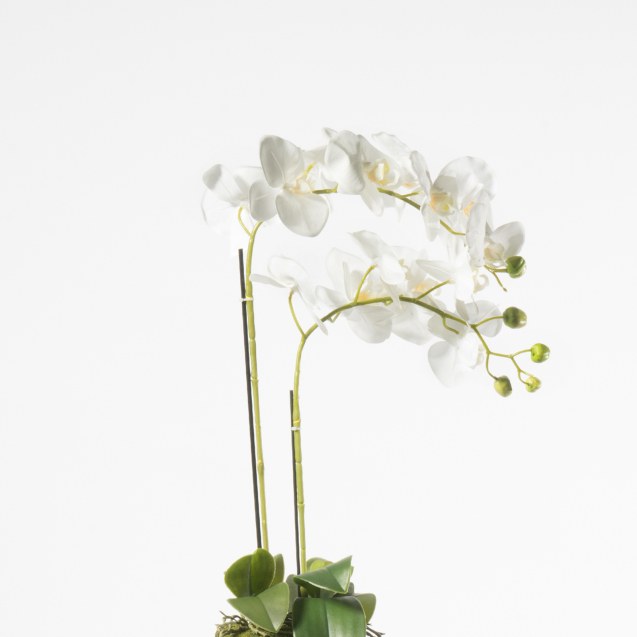 Supergreens Τεχνητό Φυτό Ορχιδέα Phalaenopsis...