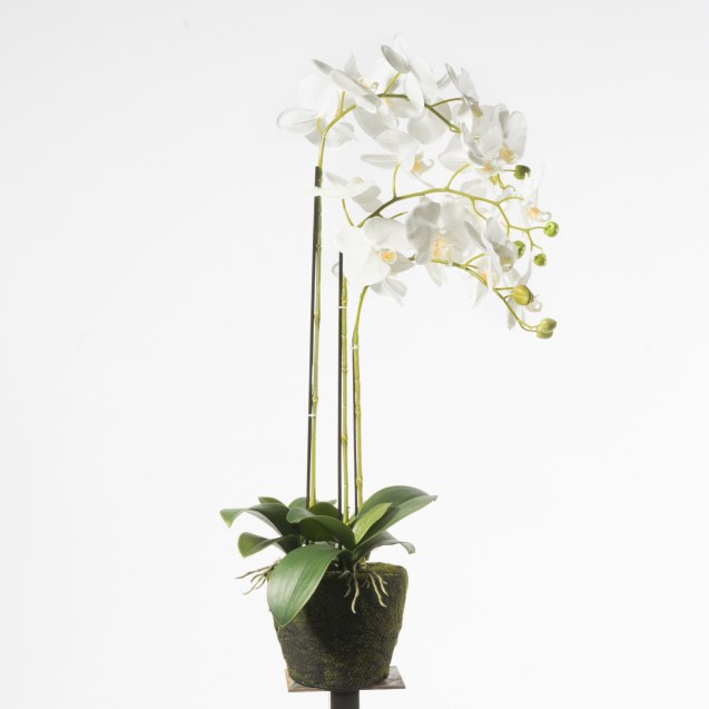 Supergreens Τεχνητό Φυτό Ορχιδέα Phalaenopsis...