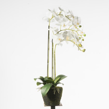 Supergreens Τεχνητό Φυτό Ορχιδέα Phalaenopsis Λευκό 80 εκ.