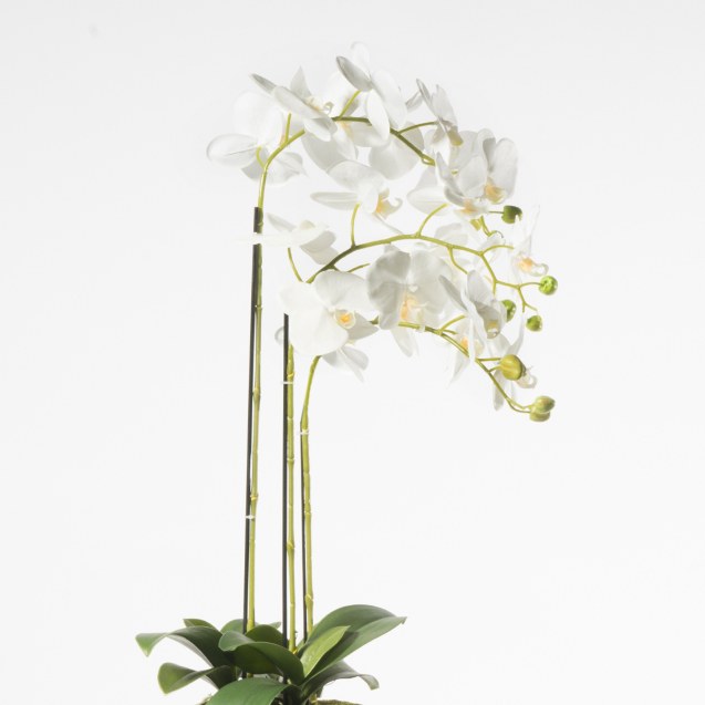 Supergreens Τεχνητό Φυτό Ορχιδέα Phalaenopsis...