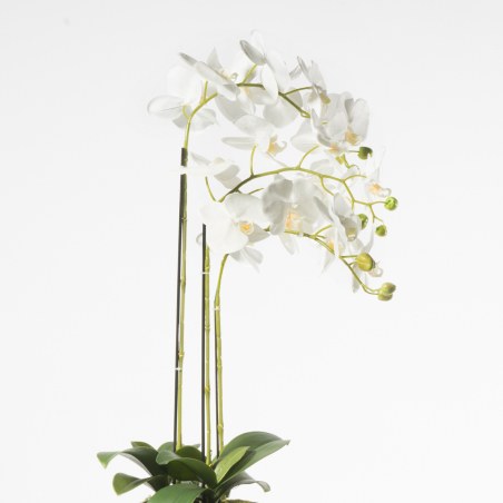 Supergreens Τεχνητό Φυτό Ορχιδέα Phalaenopsis Λευκό 80 εκ.