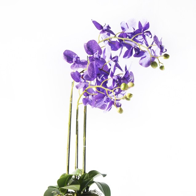 Supergreens Τεχνητό Φυτό Ορχιδέα Phalaenopsis...