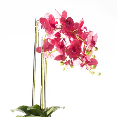 Supergreens Τεχνητό Φυτό Ορχιδέα Phalaenopsis Ροζ 80 εκ.