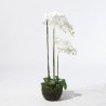 Supergreens Τεχνητό Φυτό Ορχιδέα Phalaenopsis Λευκό 110 εκ.