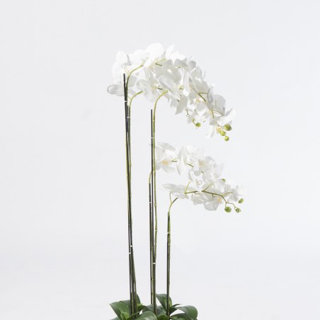 Supergreens Τεχνητό Φυτό Ορχιδέα Phalaenopsis Λευκό 110 εκ.