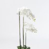 Supergreens Τεχνητό Φυτό Ορχιδέα Phalaenopsis Λευκό 110 εκ.