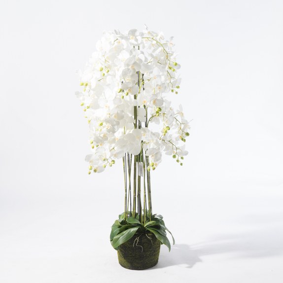 Supergreens Τεχνητό Φυτό Ορχιδέα Phalaenopsis Λευκό 153 εκ.