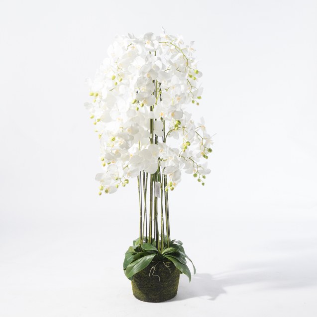 Supergreens Τεχνητό Φυτό Ορχιδέα Phalaenopsis...