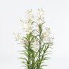 Supergreens Τεχνητό Φυτό Ορχιδέα "Cymbidium Orchid" Λευκό 125 εκ.