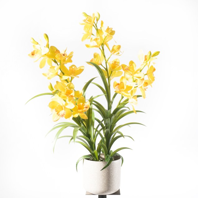 Supergreens Τεχνητό Φυτό Ορχιδέα "Cymbidium...