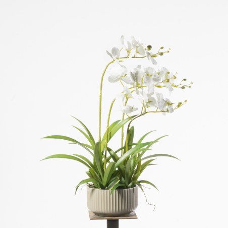 Supergreens Τεχνητό Φυτό Ορχιδέα Phalaenopsis Λευκό 60 εκ.