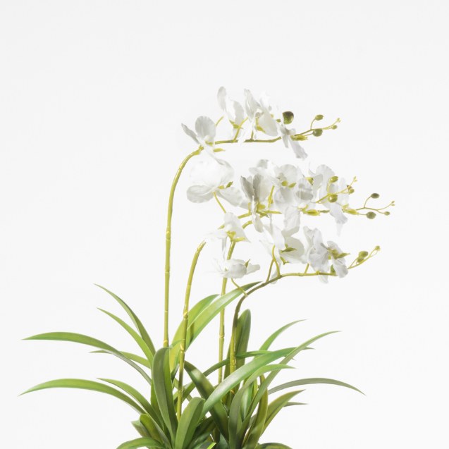 Supergreens Τεχνητό Φυτό Ορχιδέα Phalaenopsis...