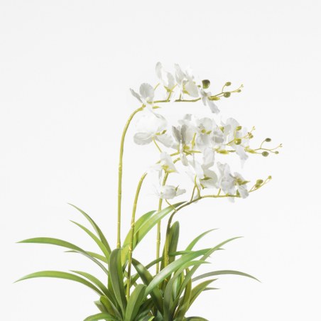 Supergreens Τεχνητό Φυτό Ορχιδέα Phalaenopsis Λευκό 60 εκ.