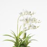 Supergreens Τεχνητό Φυτό Ορχιδέα Phalaenopsis Λευκό 60 εκ.