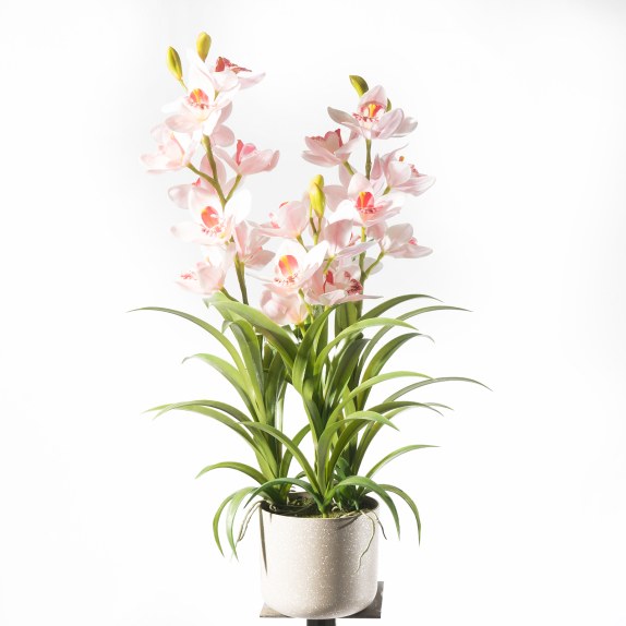 Supergreens Τεχνητό Φυτό Ορχιδέα "Cymbidium Orchid" Ροζ...