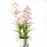 Supergreens Τεχνητό Φυτό Ορχιδέα "Cymbidium Orchid" Ροζ 70 εκ.