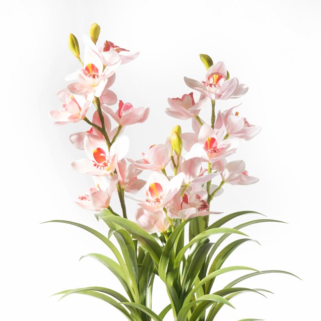 Supergreens Τεχνητό Φυτό Ορχιδέα "Cymbidium...