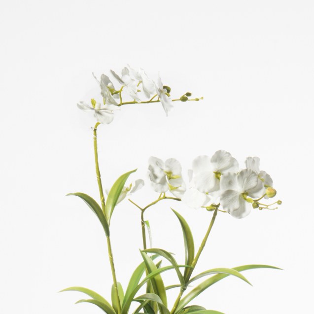 Supergreens Τεχνητό Φυτό Ορχιδέα Phalaenopsis...