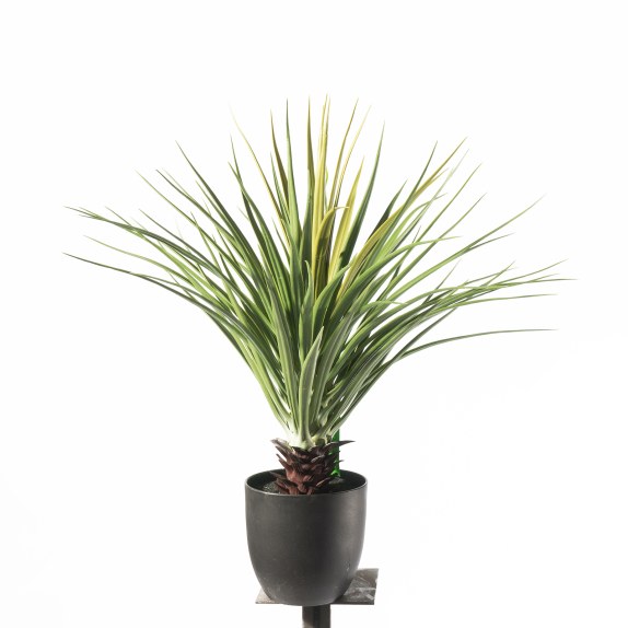 Supergreens Τεχνητό Φυτό Γιούκα "Elephantipes" Πράσινο 60...