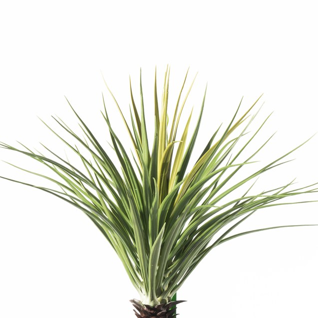 Supergreens Τεχνητό Φυτό Γιούκα "Elephantipes"...