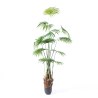 Supergreens Τεχνητό Δέντρο Πιτσάρδια "Washingtonia" Πράσινο 200 εκ.