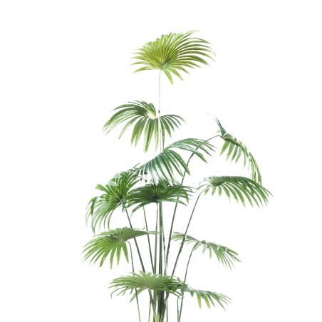 Supergreens Τεχνητό Δέντρο Πιτσάρδια "Washingtonia" Πράσινο 200 εκ.