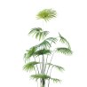 Supergreens Τεχνητό Δέντρο Πιτσάρδια "Washingtonia" Πράσινο 200 εκ.