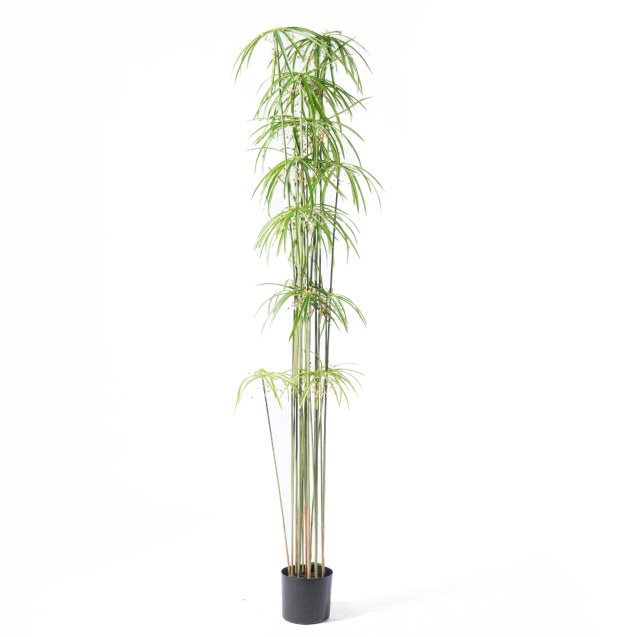 Supergreens Τεχνητό Δέντρο Πάπυρος Πράσινο 210 εκ.