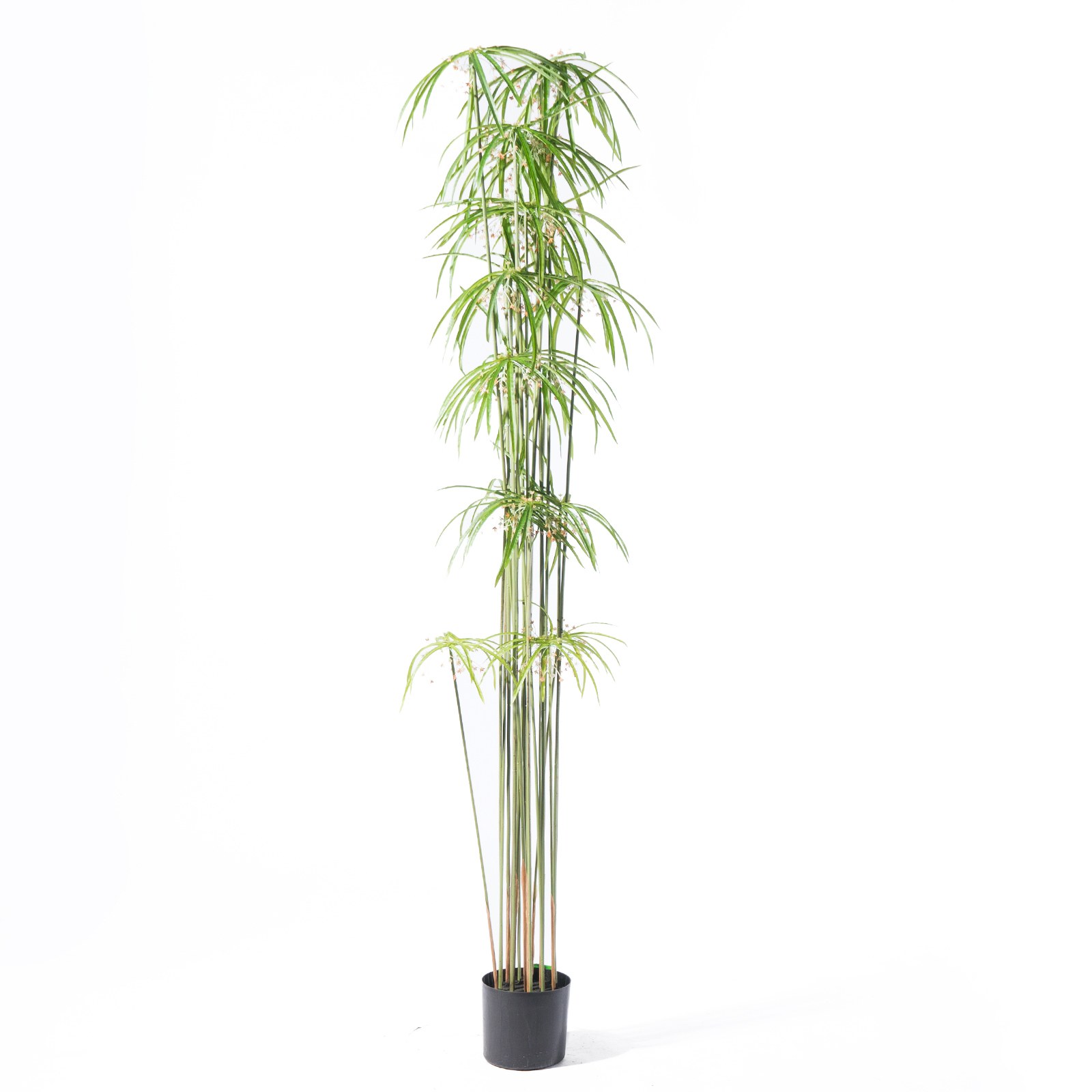 Supergreens Τεχνητό Δέντρο Πάπυρος Πράσινο 210 εκ.