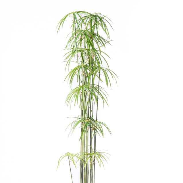 Supergreens Τεχνητό Δέντρο Πάπυρος Πράσινο 210 εκ.