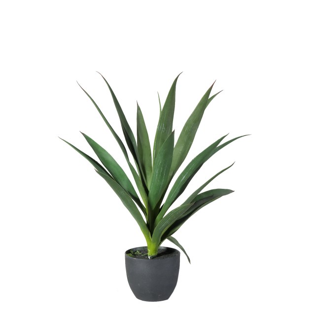 Supergreens Τεχνητό Φυτό Γιούκα Πράσινο 60 εκ.